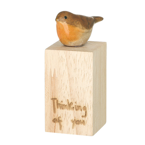 thinking of you robin