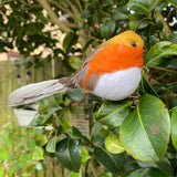 Clip on Robin