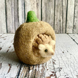 Small white animal peeking out from a textured pumpkin on a rustic wooden surface