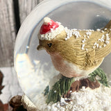 Robin Snow Globe